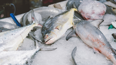 Thai Fish Markets close-up.の写真素材