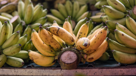 bundles of ripe bananas for sale in Asian markets. Tropical Fruitsの写真素材