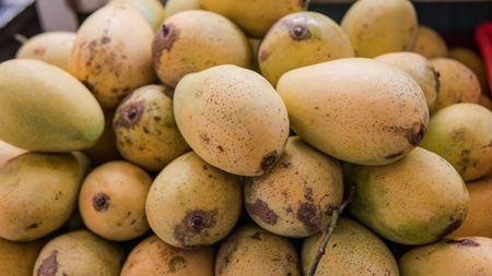 ripe mango on the counter close-up. Thailand fruits market