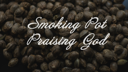 marijuana seeds close-up. Healthy cannabis seeds for millenial peopleの写真素材