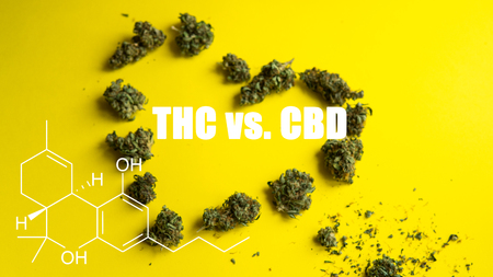 illegal trafficking in light drugs and marijuana in Europe and Russia. Narcotic traffic in the worldの写真素材