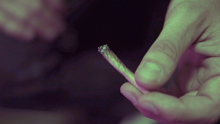rolling  joint with weed buds close-up. Smoking culture in the worldの写真素材