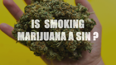 Small business marijuana dispensary in Unated States.Marijuana buds for saleの写真素材