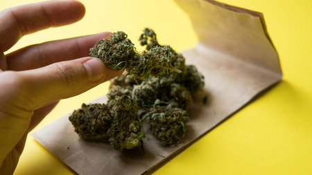 Small business marijuana dispensary in Unated States.Marijuana buds for saleの写真素材
