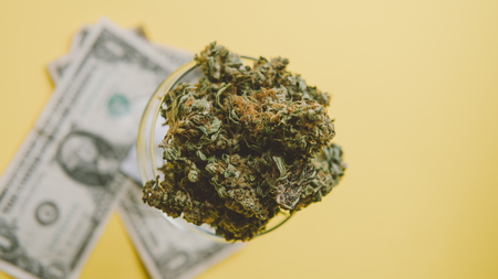 Closeup of trichomes on marijuana. Small business marijuana dispensary in United States.の写真素材