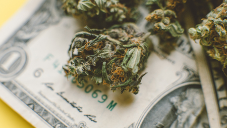Small business marijuana dispensary in Unated States.Marijuana buds for saleの写真素材