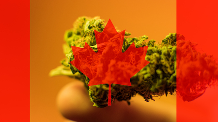 legalization of medical marijuana in Canada in 2019の写真素材