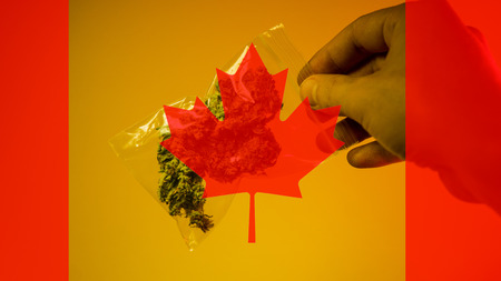 legalization of medical marijuana in Canada in 2019の写真素材