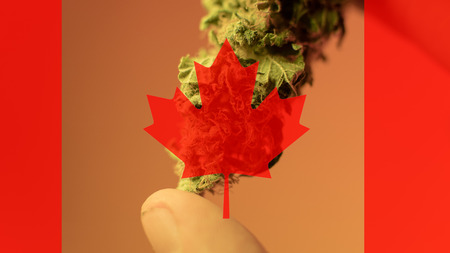 legalization of medical marijuana in Canada in 2019の写真素材