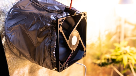 marijuana growing professional  equipmentの写真素材