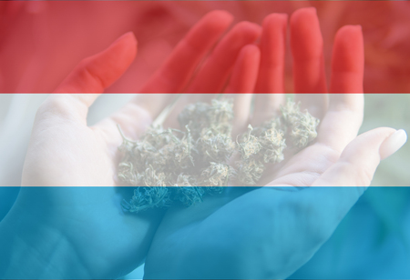 legalization of recreational marijuana use in Luxembourg. Cannabis legalize in Luxemburgの写真素材