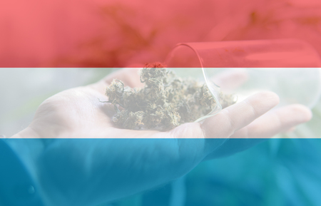 legalization of recreational marijuana use in Luxembourg. Cannabis legalize in Luxemburgの写真素材