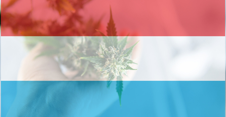 legalization of recreational marijuana use in Luxembourg. Cannabis legalize in Luxemburgの写真素材