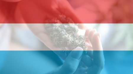 legalization of recreational marijuana use in Luxembourg. Cannabis legalize in Luxemburgの写真素材