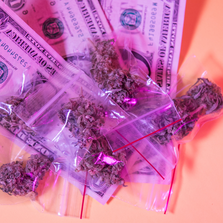 Dry and trimmed cannabis budsの写真素材