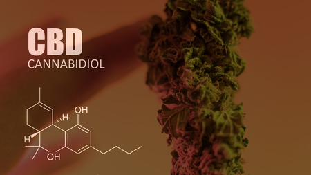 chemical formulas of elements THC CBD in marijuana medical strains