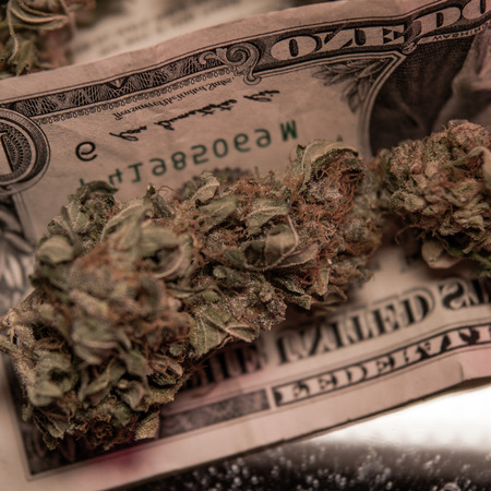 One Pound of Organic Cannabisの写真素材