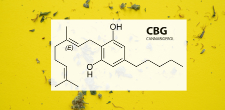 Cannabigerol (CBG) in Medical Marijuana Studies