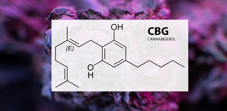 Cannabigerol (CBG) in Medical Marijuana Studiesの写真素材
