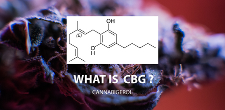CBG Cannabigerol marijuana elements.の写真素材
