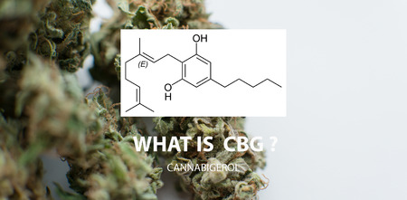 CBG Cannabigerol marijuana elements.