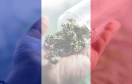 medicinal cannabis use in France for recreationalの写真素材