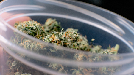 marijuana buds close-upの写真素材