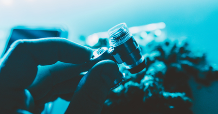 marijuana through a microscope close-up.の写真素材