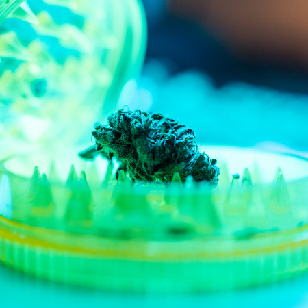 Legalize it. Smoking marijuana concept for publicationsの写真素材