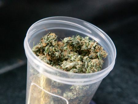 Recreational marijuana strain. Sativa THC harvest in details.の写真素材