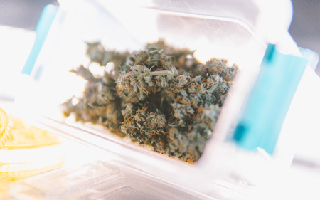 Medical marijuana news in the world.の写真素材