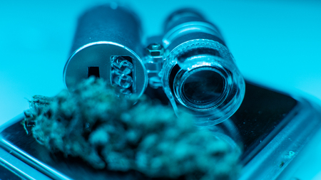 marijuana through a microscope close-up.の写真素材