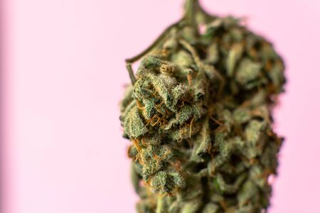 soft drugs and creativity of modern youth. The cult of using marijuana everywhere.の写真素材