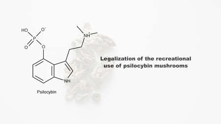 Legalization of the recreational use of psilocybin mushrooms, psilocybin and its effect on the human...