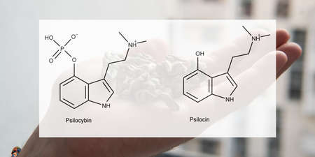 the medical effects of psilocybin and psilocin on the psychological and physical health of people....