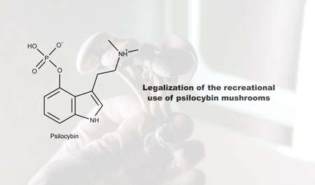 Legalization of the recreational use of psilocybin mushrooms, psilocybin and its effect on the human...