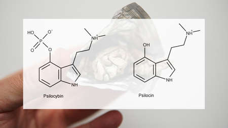 the medical effects of psilocybin and psilocin on the psychological and physical health of people....