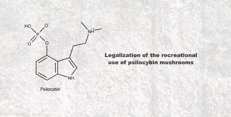 Legalization of the recreational use of psilocybin mushrooms, psilocybin and its effect on the human bodyの写真素材