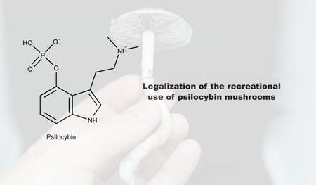 Legalization of the recreational use of psilocybin mushrooms, psilocybin and its effect on the human bodyの写真素材