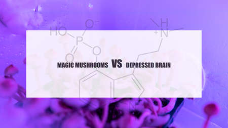 the effect of psilocybin on the mental state of a sick person. Treatment of depression with magic...