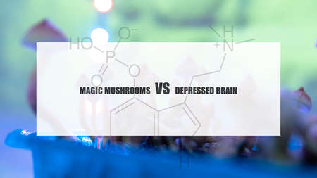the effect of psilocybin on the mental state of a sick person. Treatment of depression with magic...