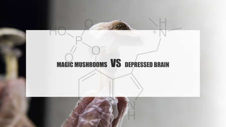 the effect of psilocybin on the mental state of a sick person. Treatment of depression with magic...