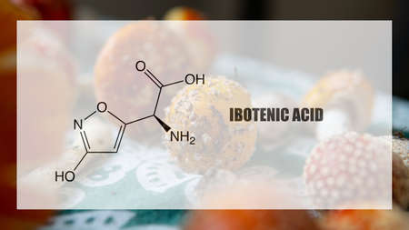 ibotenic acid as one of the psychedelic ingredients in the fly agaric. Psychoactive substances in...