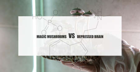 the effect of psilocybin on the mental state of a sick person. Treatment of depression with magic...