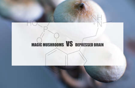 the effect of psilocybin on the mental state of a sick person. Treatment of depression with magic...