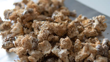 dried fruiting bodies of Hericium erinaceus mushroom close-upの写真素材