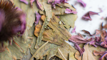 dried fruiting bodies of Hericium erinaceus mushroom close-upの写真素材