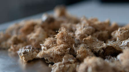 dried fruiting bodies of Hericium erinaceus mushroom close-upの写真素材