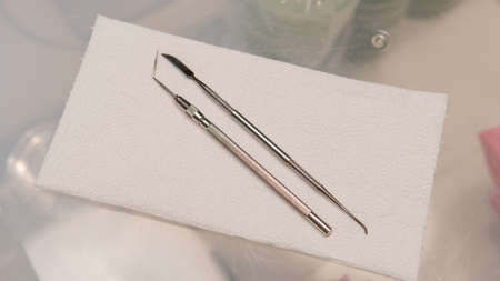 fruiting bodies before drying in a dehydrator. Health benefits of Lion's mane. Hericenones and Erinacinsの写真素材