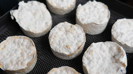 fruiting bodies before drying in a dehydrator. Health benefits of Lion's mane. Hericenones and Erinacinsの写真素材